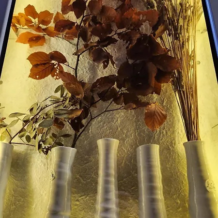 Lägenhet Charlotte House